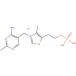 Thiamine monophosphate CAS 532-40-1