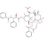 Paclitaxel CAS 33069-62-4
