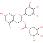 Epigallocatechin gallate CAS 989-51-5
