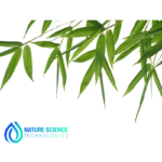 Bamboo Leaf Extract