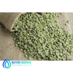 Green Coffee Bean Extract
