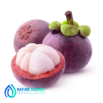 Mangosteen Extract