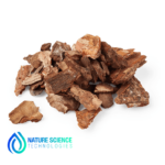 Pine Bark Extract