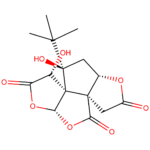 Bilobalide CAS 33570-04-6