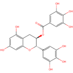 (-)-Gallocatechin gallate (GCG) CAS 4233-96-9