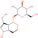 Aucubin CAS 479-98-1