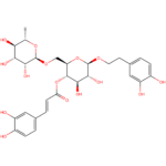 Forsythoside CAS 79916-77-1